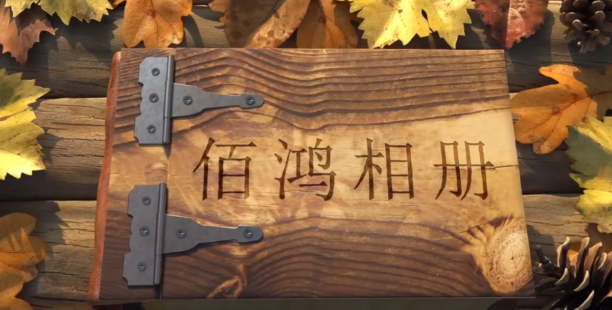 2023-04 九年，從破土而出到碩果累累，從深耕再生醫(yī)學(xué)，到擁有多項(xiàng)技術(shù)專(zhuān)利，從術(shù)業(yè)專(zhuān)攻，到涉獵三大領(lǐng)域九年，時(shí)間長(zhǎng)河里的滄海一粟對(duì)于我們卻是3千多日日夜夜未來(lái)，我們有更多鴻圖…